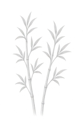 Hintergrundgrafik Asien-Stil