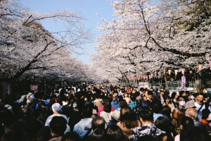 Ueno Sakura Kirschblüten-Festival in Tokio mit vielen Menschen zwischen den Cherry Blossoms
