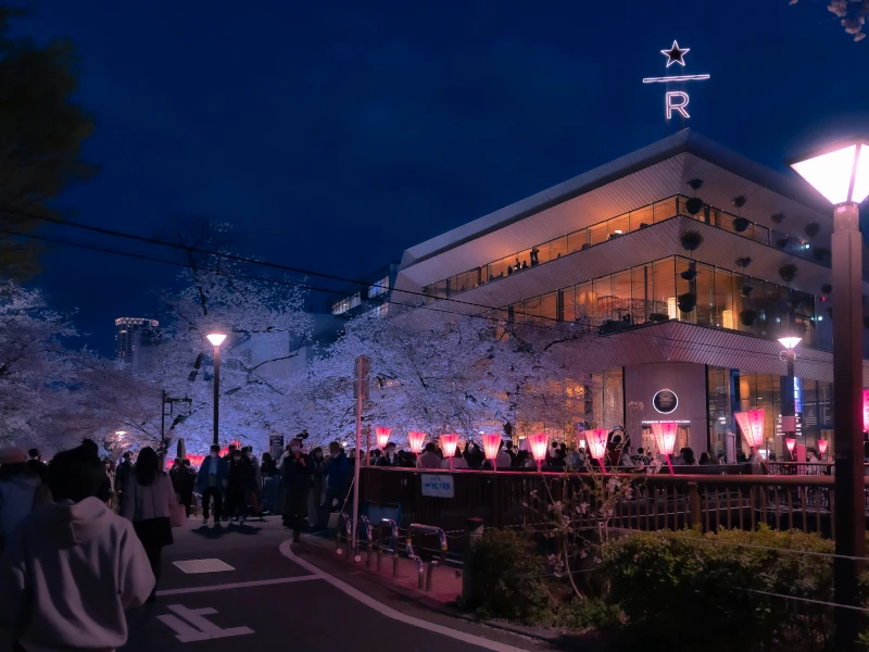 Viele Menschen in der Dunkelheit mit schöner Beleuchtung in Tokio auf dem Meguro Kirschblütenfest, Japan